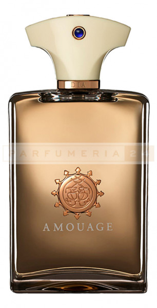 Amouage Dia For Man 100 ml