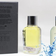 NROTICuERSe Light Blue (Dolce & Gabbana Light Blue Pour Homme), 100 ml